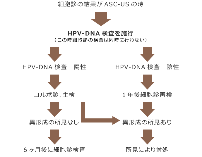 細胞診 ASC-USの取り扱い