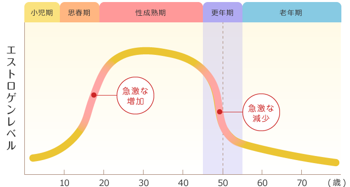 女性のライフステージとエストロゲンの変化